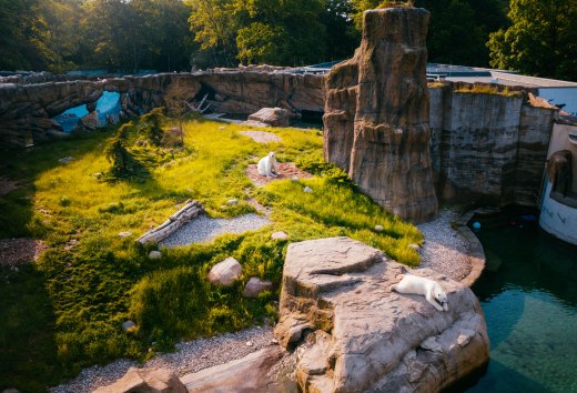 Das Polarium im Rostocker Zoo erinnert ein bisschen an die Hudson Bay in Kanada, wo viele Eisb&auml;ren zuhause sind. Man hat einen Einblick aus der Luft auf das Gehege mit den Eisb&auml;ren.