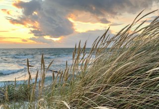 © Nationalparkamt/K.Bärwald © Nationalparkamt/K.Bärwald