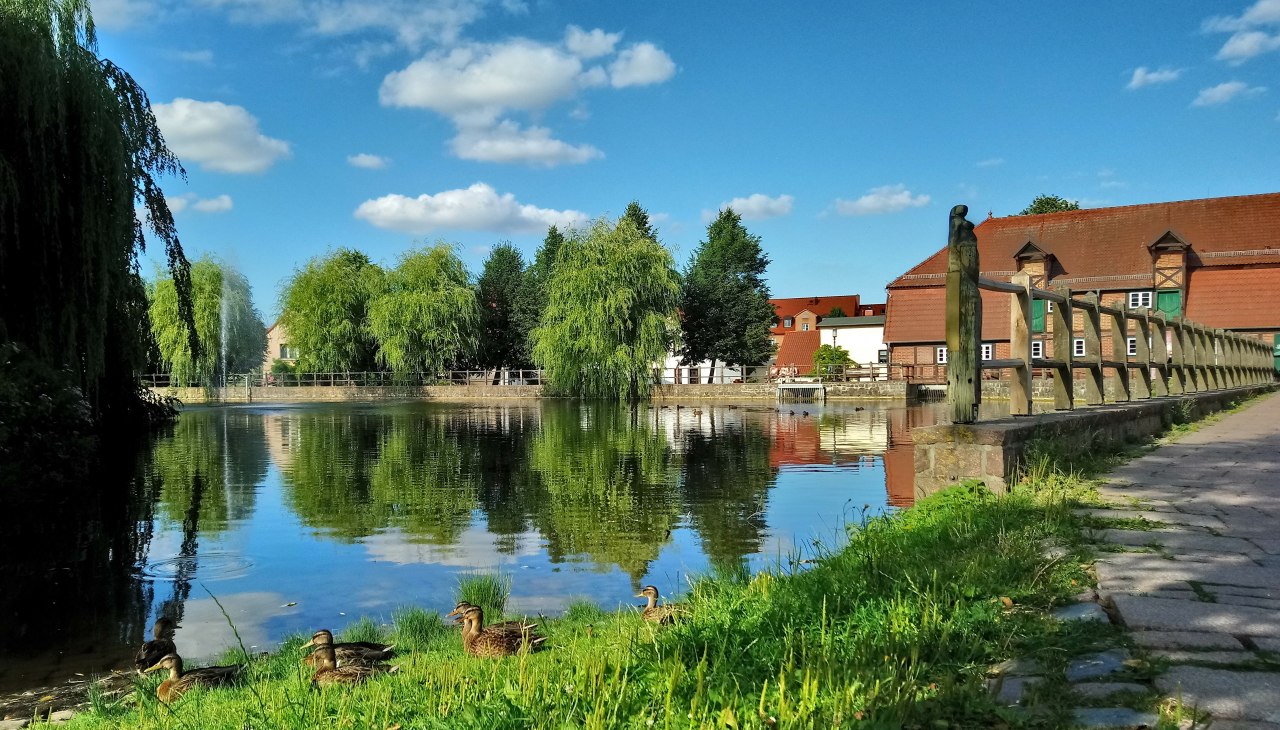 M&uuml;hlenteich und Stadtm&uuml;hle Foto Koch, &copy; Jana Koch