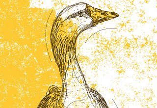 Gansessen im Restaurant Wehrmanns Alt-Heringsdorf, © Strandhotel Ostseeblick Gansessen im Restaurant Wehrmanns Alt-Heringsdorf, © Strandhotel Ostseeblick