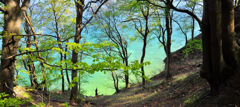 © Nationalparkamt Vorpommern © Nationalparkamt Vorpommern