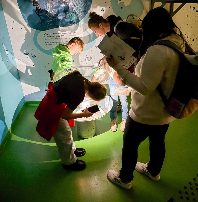 © Nationalaprk-Zentrum KÖNIGSSTUHL © Nationalaprk-Zentrum KÖNIGSSTUHL