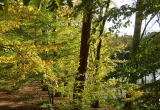 © Stadt Neustrelitz