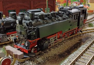 Gartenbahn LGB, &copy; Modellbahnclub Sassnitz