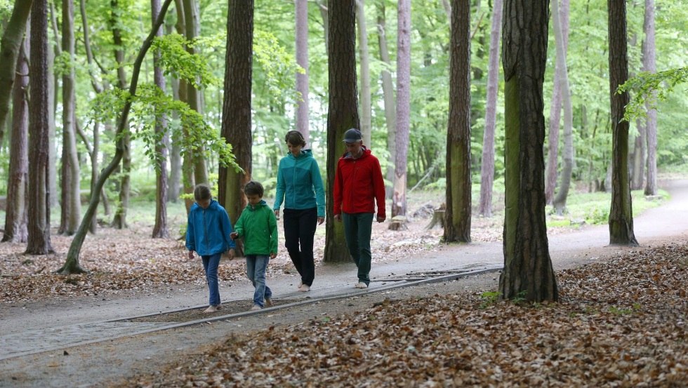 Ohne Schuhe geht's auf dem Barfußpfad über verschiedene Naturmaterialien wie Holz, Steine und Tannenzapfen. // © MV-T/outdoor-visions.com Ohne Schuhe geht's auf dem Barfußpfad über verschiedene Naturmaterialien wie Holz, Steine und Tannenzapfen. // © MV-T/outdoor-visions.com