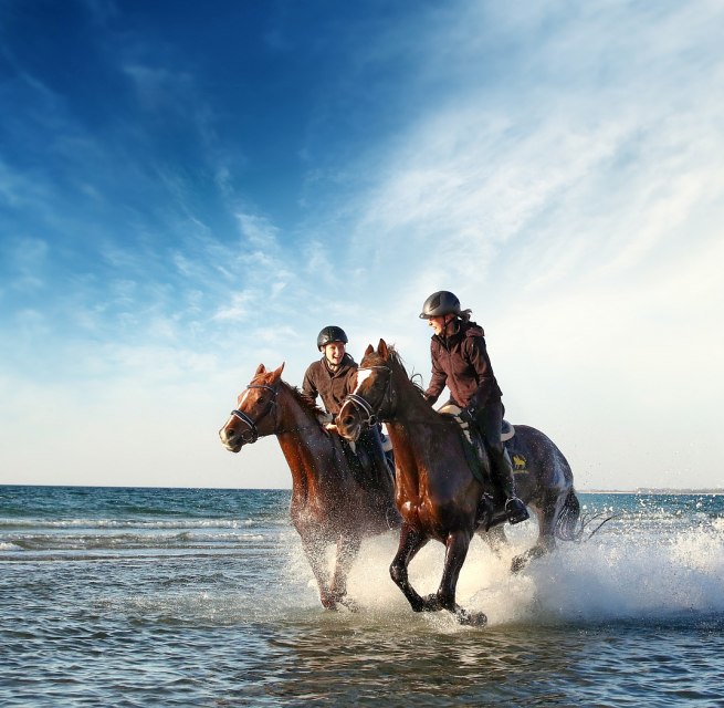 Von Oktober bis April hei&szlig;t es rein in den Sattel und ab an die Mecklenburgische Ostsee // &copy; MV-T/Pantel