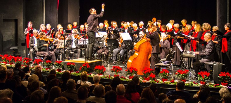 Adventsconcert in het Theater Neustrelitz op 30 november 2025 // &copy; Wilfried Baganz