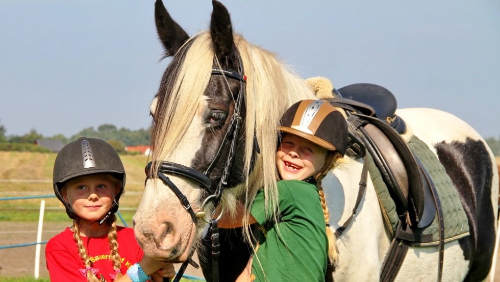 Pferde & Reiten auf dem Erlebnis-Bauernhof Kliewe // &copy; Erlebnis-Bauernhof Kliewe/Susanne Kliewe