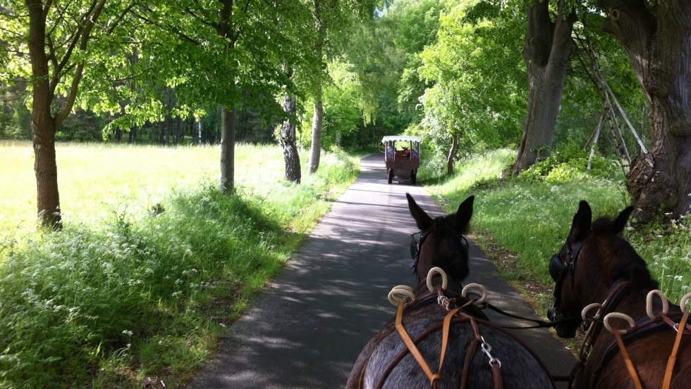De koetsrit voert je door het platteland, inclusief leuke gesprekken. // &copy; Reit- und Fahrtourstik Lychen
