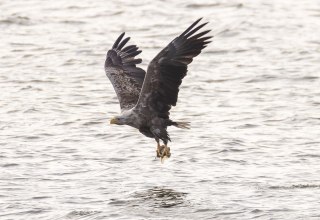 © Mario Müller © Mario Müller