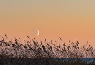 © Kurverwaltung Mönchgut © Kurverwaltung Mönchgut