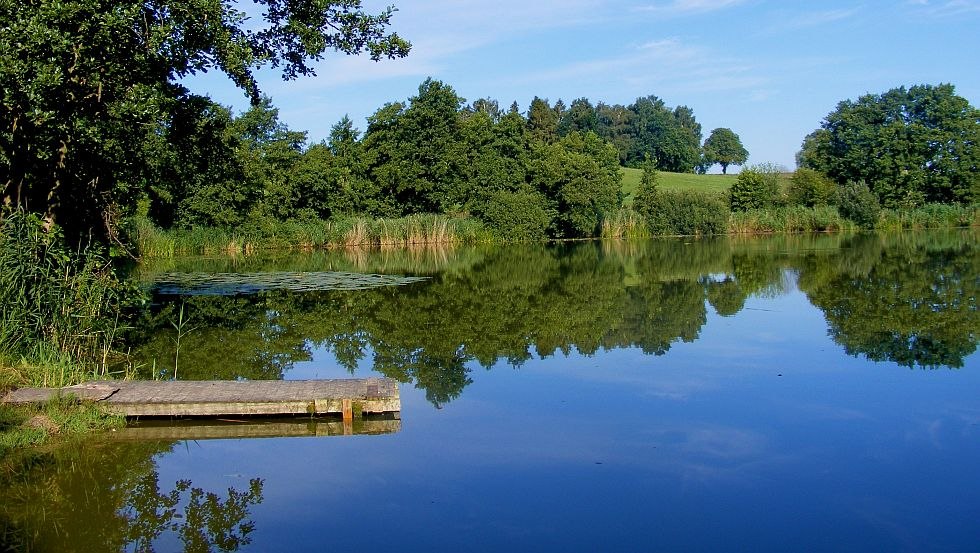 Het natuurlijke zwemgebied op 300 meter, © Alte Schule e.V. Het natuurlijke zwemgebied op 300 meter, © Alte Schule e.V.