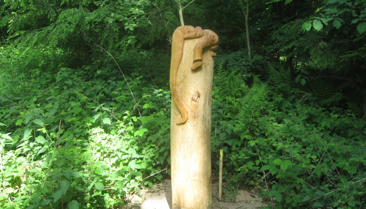 Im Paradiesgarten, © Landesforst Im Paradiesgarten, © Landesforst