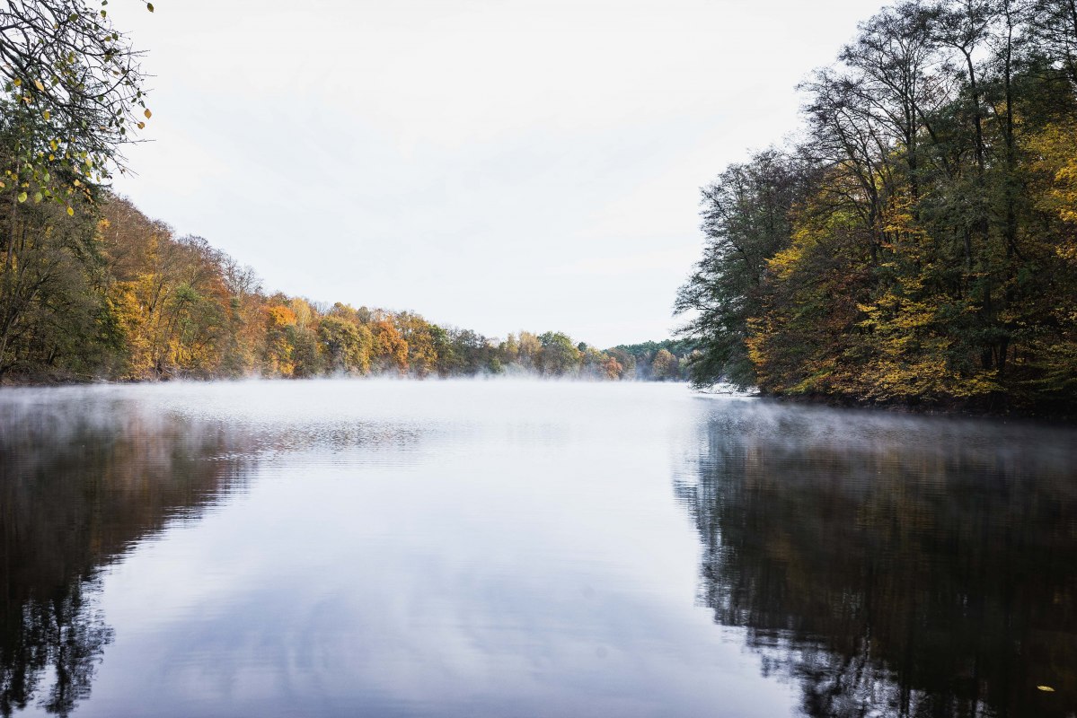 © Heike Brechler © Heike Brechler