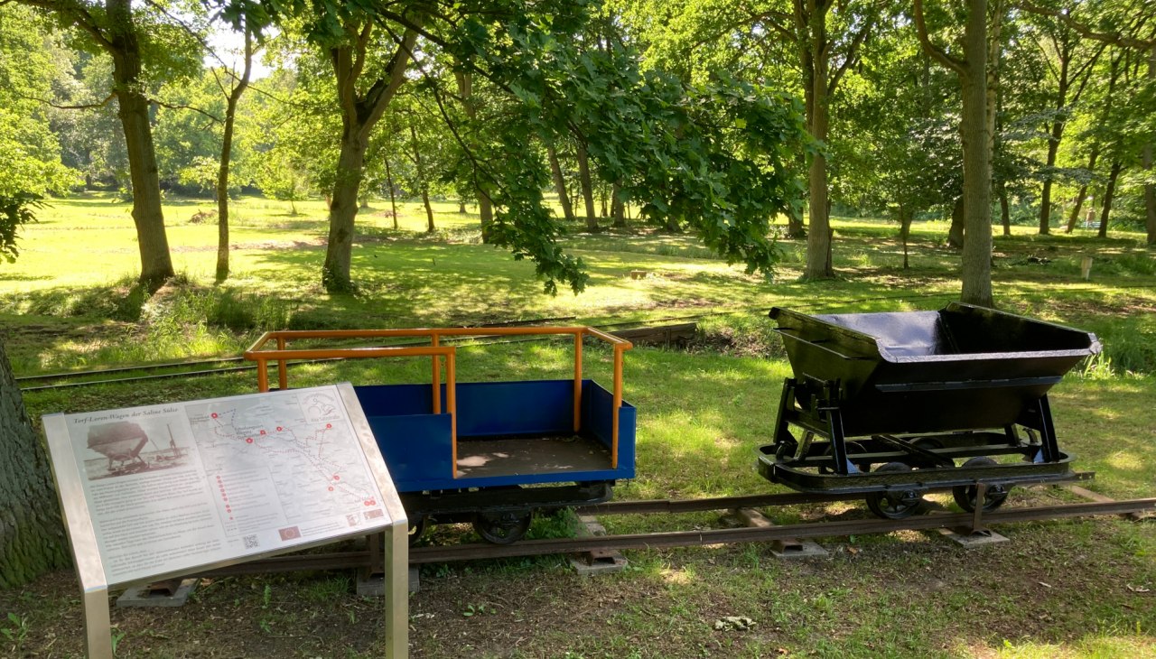 Torflore in Bad Sülze, © M. Hagemann