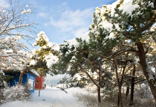 © glühweinspaziergang.jpg © glühweinspaziergang.jpg