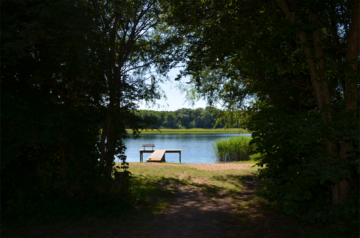 &copy; Martin M&ouml;ller