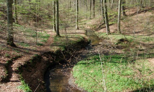 Klaasbachtal Natuurpark Sternberger merengebied // © Naturpark Sternberger Seenland Klaasbachtal Natuurpark Sternberger merengebied // © Naturpark Sternberger Seenland