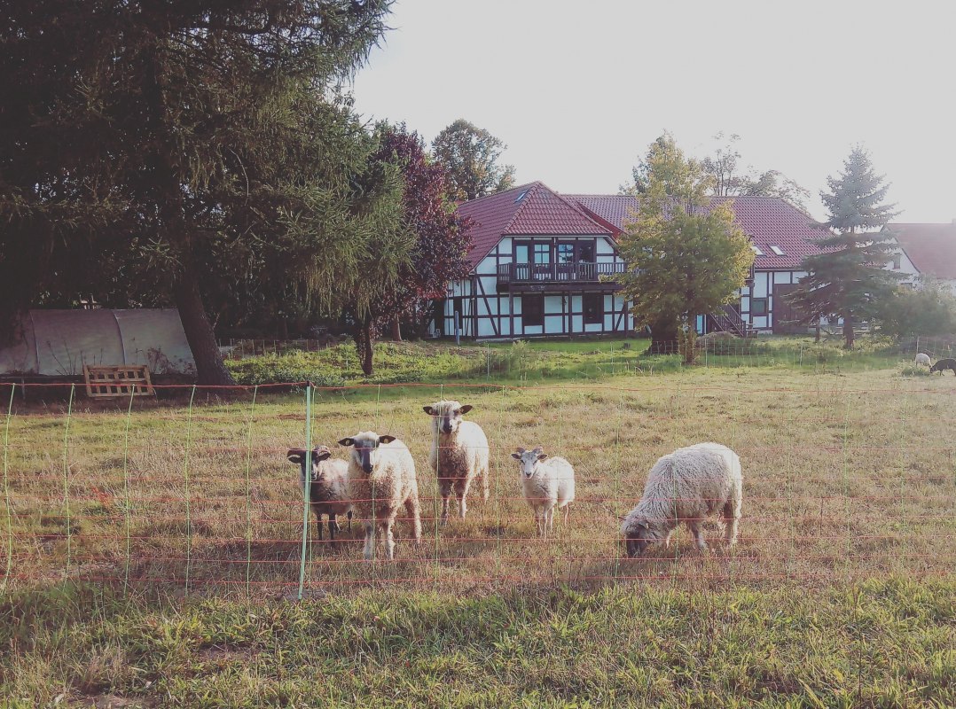 &copy; Foto: Jaeschke