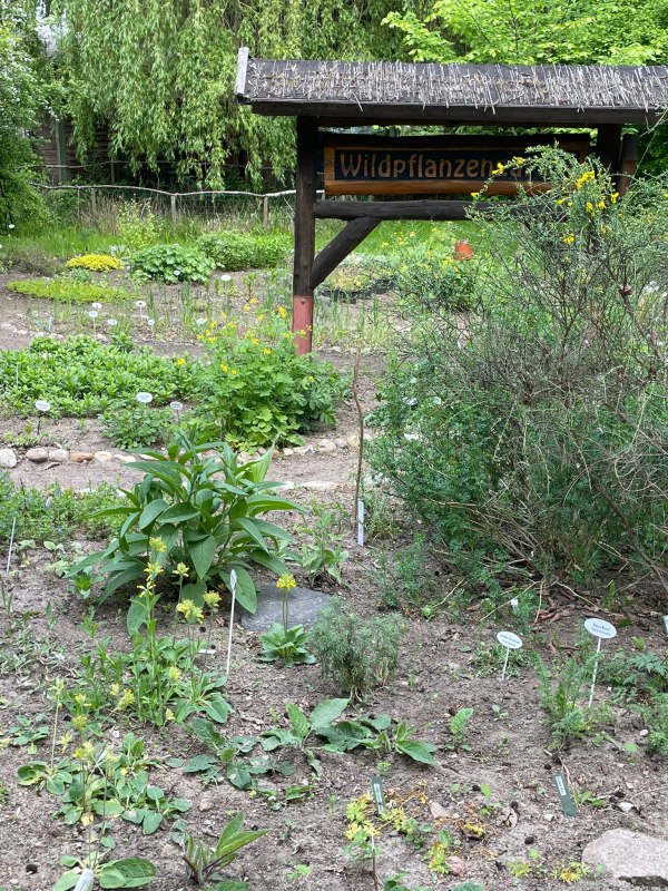 Wildpflanzengarten // &copy; Annette Schmidt