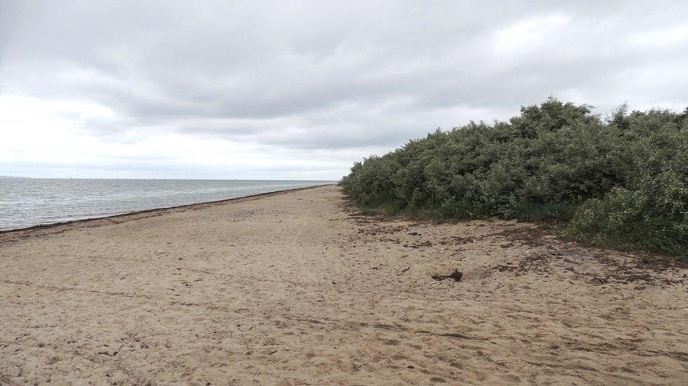 Blick Strand // © Kurverwaltung Insel Poel Blick Strand // © Kurverwaltung Insel Poel