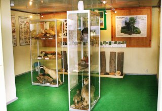 Blick in die Ausstellung, © Sabrina Wittkopf-Schade