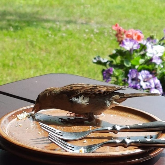 Müritzhof, © Waren (Müritz)-Information Müritzhof, © Waren (Müritz)-Information