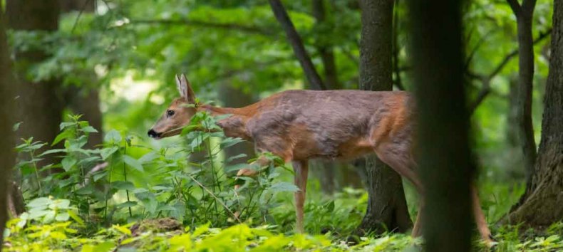 &copy; Erlebnis Akademie AG/NEZR