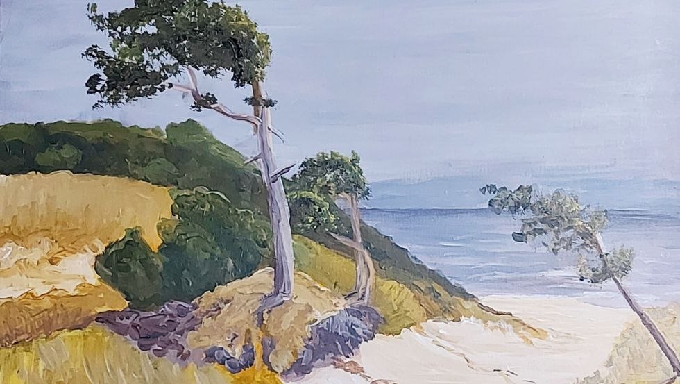 Ostsee mit Windfl&uuml;chtern, &copy; Gudrun Seidel