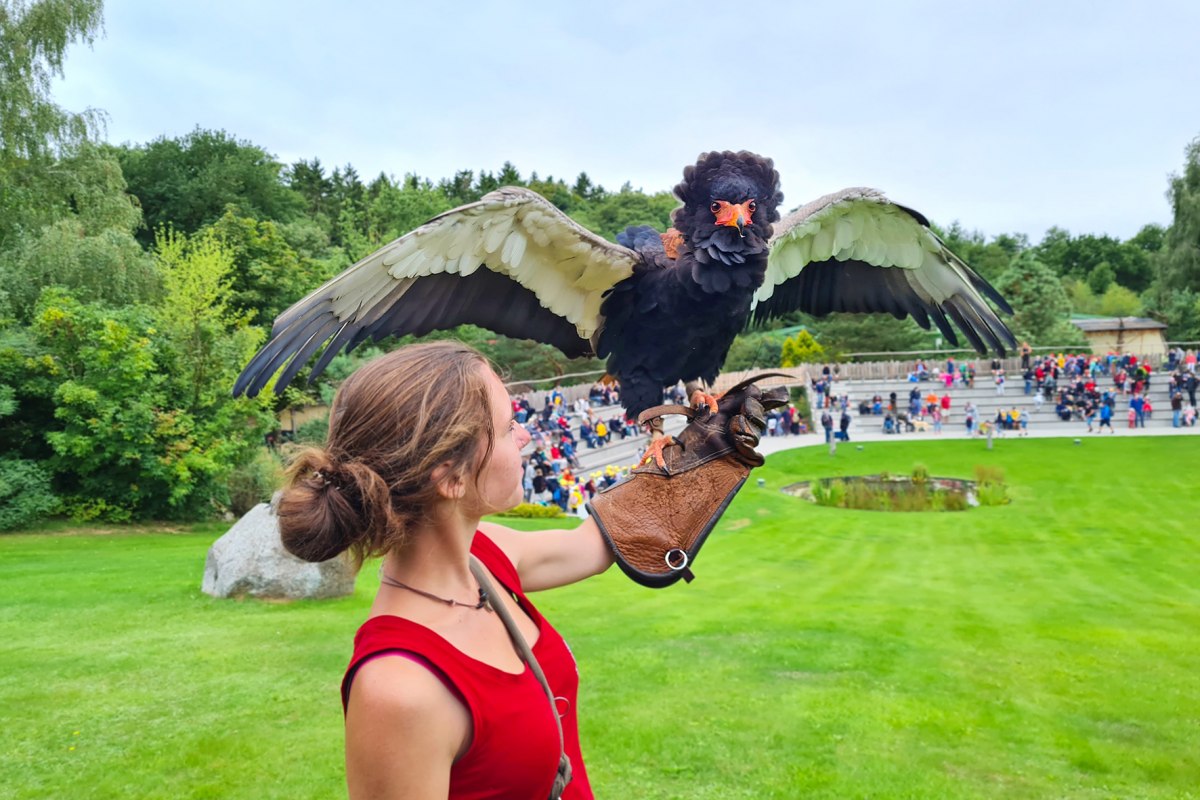 &copy; Vogelpark Marlow