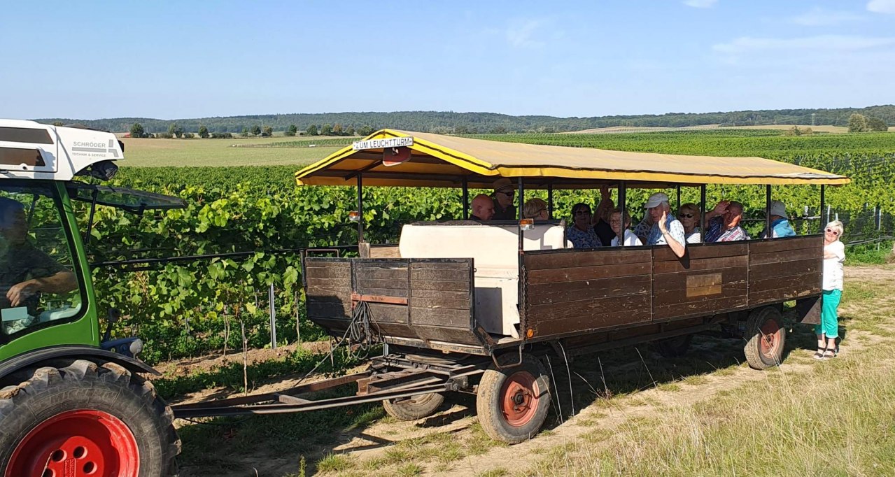 Weingut Schloss Rattey // &copy; Weingut Schloss Rattey | Inselm&uuml;hle Usedom GmbH