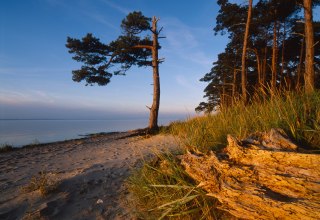 Strand Ludwigsburg in Abendstimmung // &copy; MV-T.Thomas Grundner