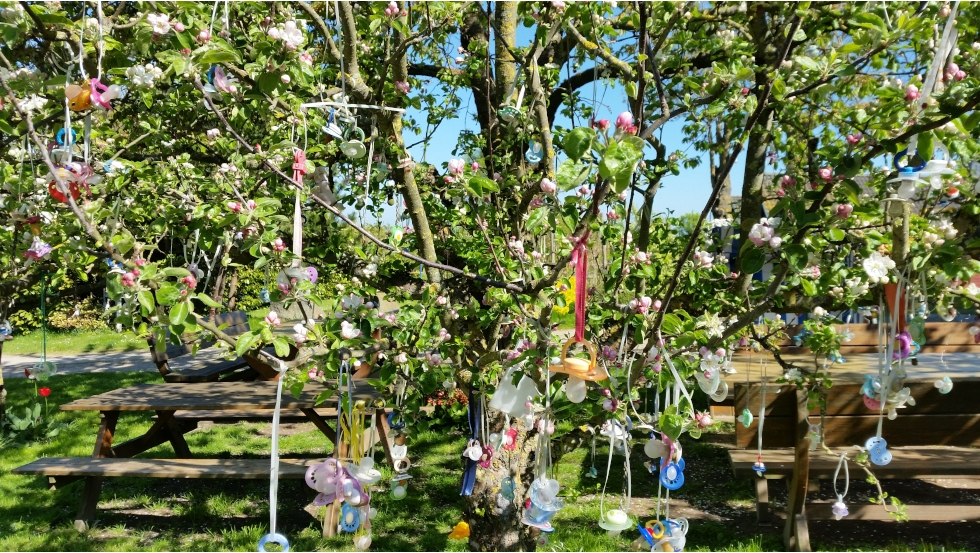De beroemde dummieboom neemt de dummies van de jongste gasten mee als afscheidscadeau, zodat ze altijd worden herinnerd // © Ostseeferienhäuser Harry Fork De beroemde dummieboom neemt de dummies van de jongste gasten mee als afscheidscadeau, zodat ze altijd worden herinnerd // © Ostseeferienhäuser Harry Fork