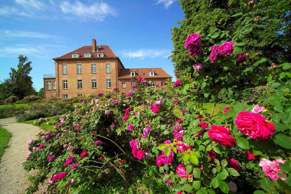 Gottin Rose Park met meer dan 2.000 rozen in meer dan 200 vari&euml;teiten // &copy; Gutshaus Gottin