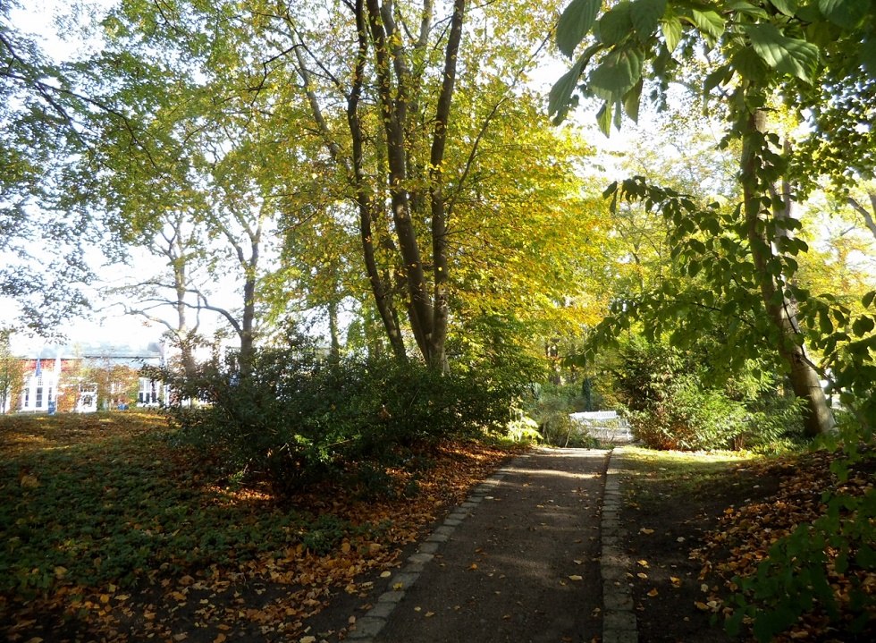 Der Kurpark im Ostseebad Binz., © Tourismuszentrale Rügen Der Kurpark im Ostseebad Binz., © Tourismuszentrale Rügen