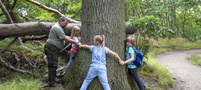 &copy; Kurverwaltung Goehren / Martin Stoever