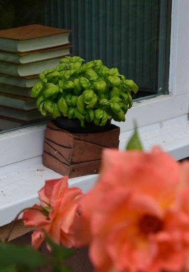 &copy; Maxi Wei&szlig;