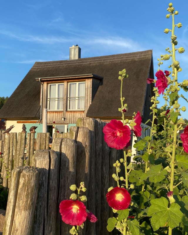 Uitzicht vanuit de tuin // &copy; Franzi Neubauer