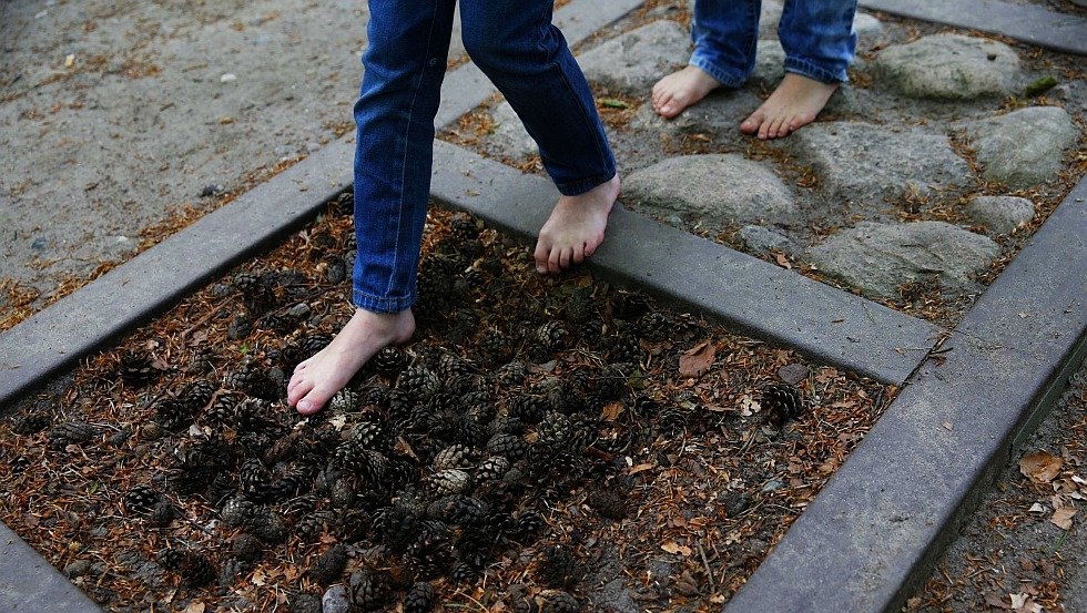 Barfu&szlig;pfad Graal-M&uuml;ritz, &copy; TMV/outdoor-visions.com