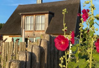 Ansicht vom Garten // &copy; Franzi Neubauer