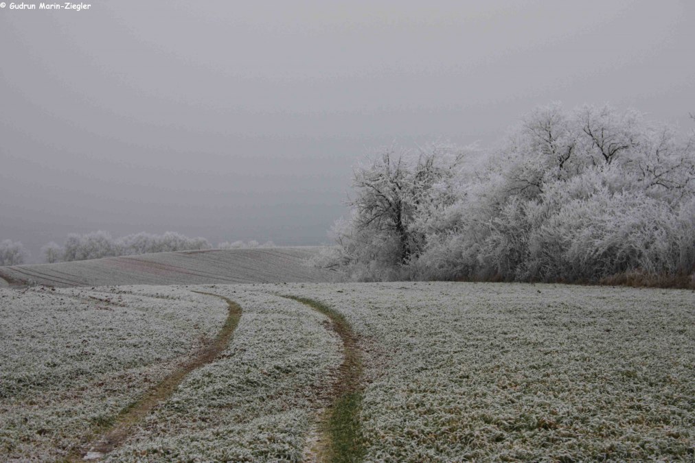Winterliche Landschaft, © Gudrun Marin-Ziegler