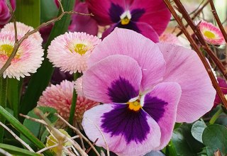 © BÄRENWALD Müritz | Manuela Klier © BÄRENWALD Müritz | Manuela Klier