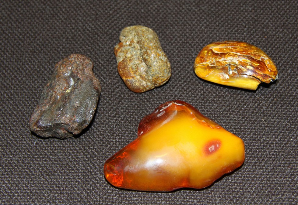 Vortrag: "Bernstein &ndash; das Gold der Ostsee", &copy; Historische Gesellschaft zu Zinnowitz e. V., Ute Spohler, 17454 Zinnowitz, Sc