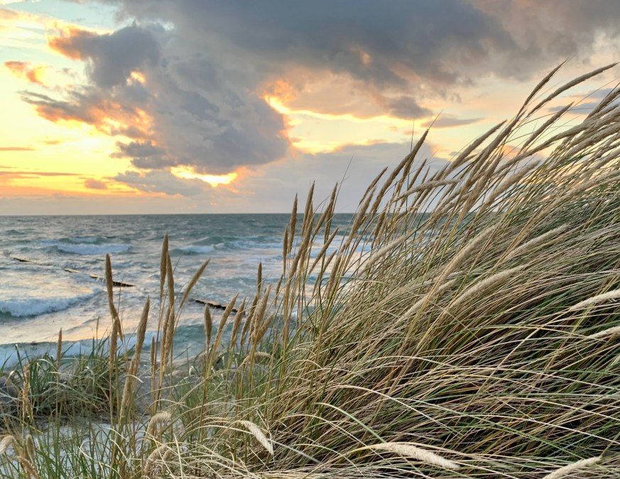 K Baerwald Ostsee und Strandhafer bearb, © Nationalparkamt/K.Bärwald