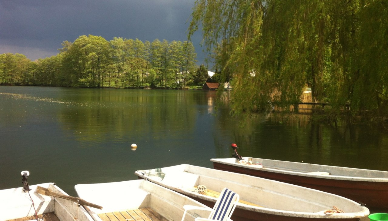 Der Blick auf den Carwitzer See, © Ines Mante Der Blick auf den Carwitzer See, © Ines Mante