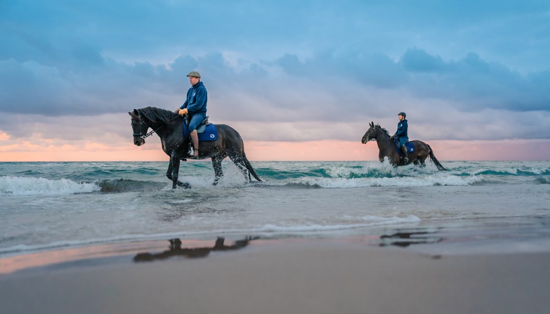 Zwei Reiter auf dem Pferd machen Strandreiten zum Sonnenuntergang an der Ostsee auf der Halbinsel Fischland-Darß-Zingst