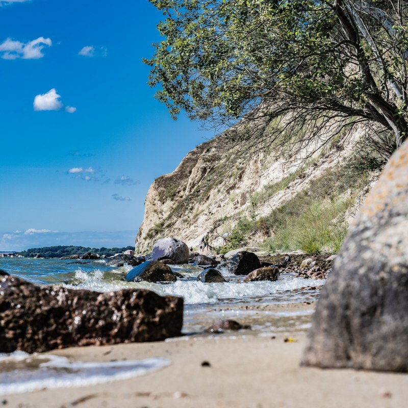 Zicker H&ouml;ft // &copy; Lars Wehrmann