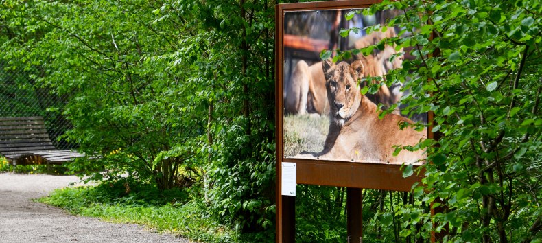 Foto-Ausstellung "Respekt, Mitgefühl und Verständnis" in der Waldgalerie im BÄRENWALD Müritz // © BÄRENWALD Müritz | Manuela Klier Foto-Ausstellung "Respekt, Mitgefühl und Verständnis" in der Waldgalerie im BÄRENWALD Müritz // © BÄRENWALD Müritz | Manuela Klier