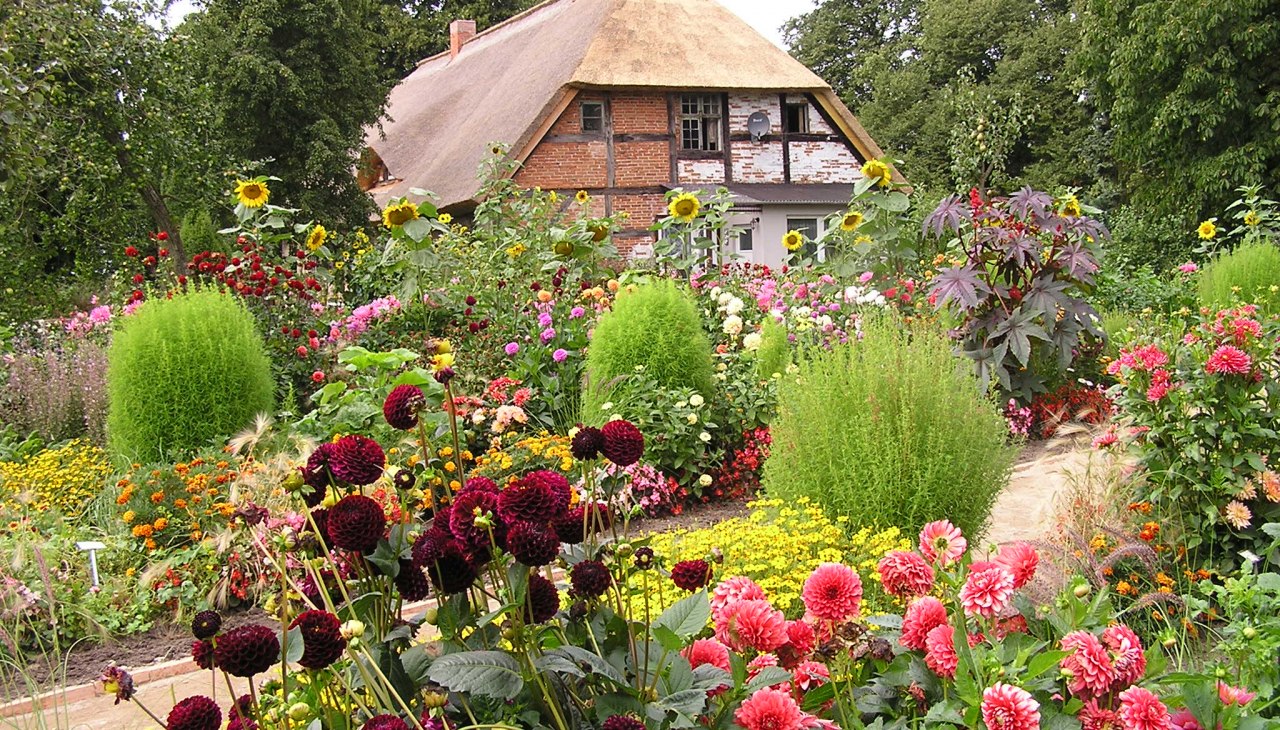 Pastorie met dahlia's, © Gerd Albrecht Pastorie met dahlia's, © Gerd Albrecht