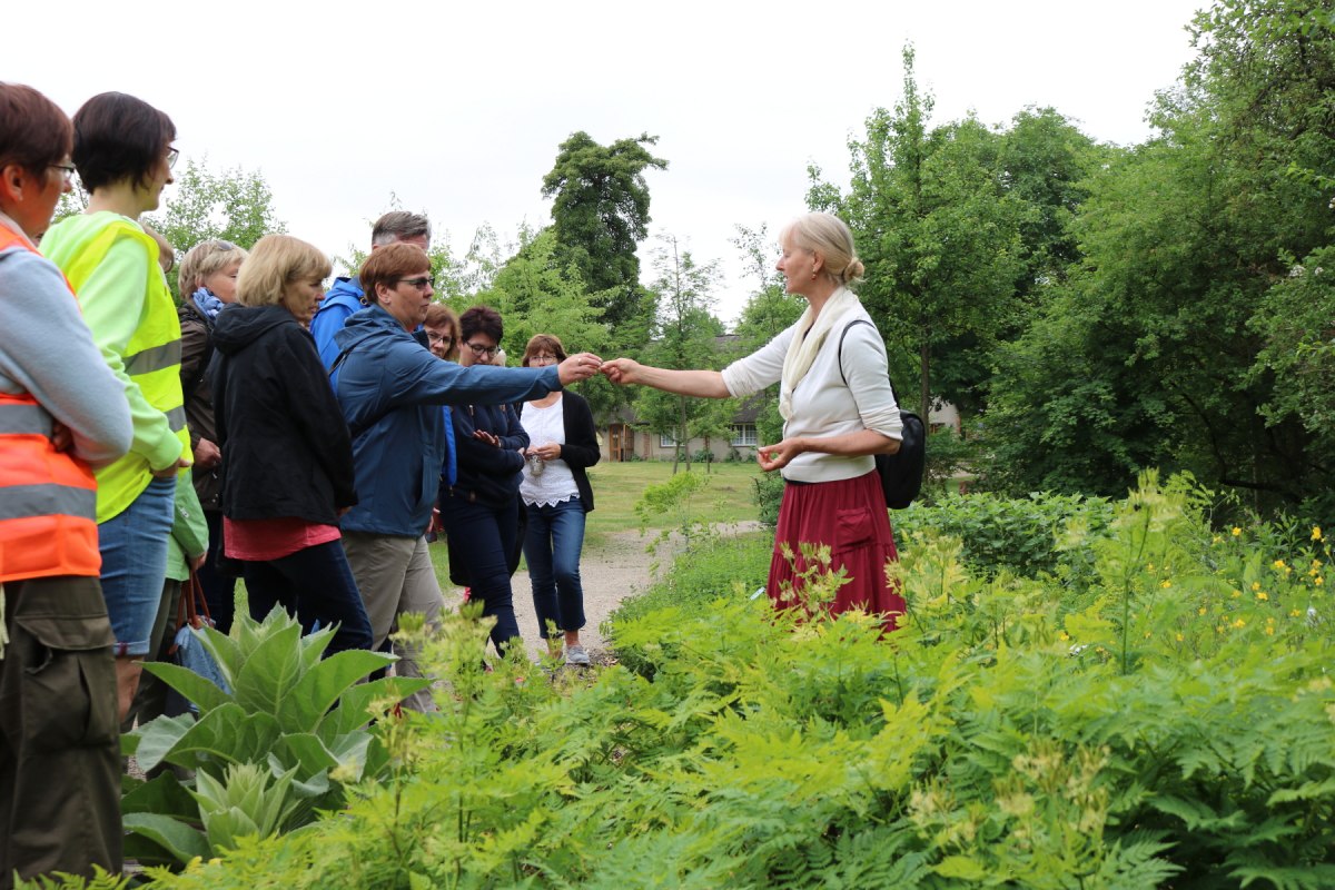 Ein Kr&auml;utererlebnis der besonderen Art - Kr&auml;uterwanderung mit Anne-Katrin Schmiedehaus-Engel, &copy; Fred-Ingo Pahl